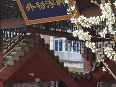 -桃花堤公园