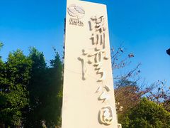-深圳湾公园(南山区)