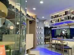 -喵园·猫主题咖啡厅·撸猫·猫咖(国贸店)