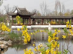 -水西公园