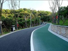 -飞凤山奥体公园