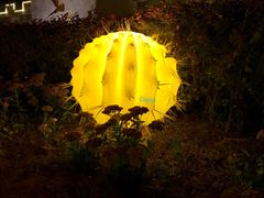 -党河风情线国家水利风景区