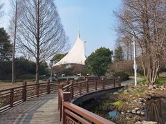-长广溪湿地公园
