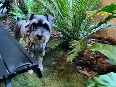 -J Create城市露营咖啡·简餐·宠物(上海动物园店)