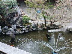 -东江渔村·古典园林·30年粤菜老字号(太和店)