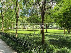 -陆家嘴中心绿地
