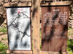 -九龙潭景区