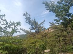 -崂山巨峰游览区