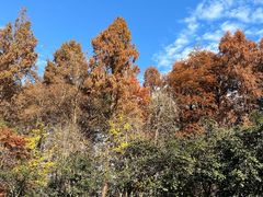 -北山街历史文化街区