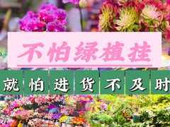 -花鸟鱼虫鲜花绿植市场(玉泉路店)