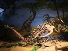 -自贡恐龙博物馆