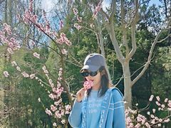 -白水寺森林公园
