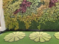 -青水瓦台汤泉(未央店)