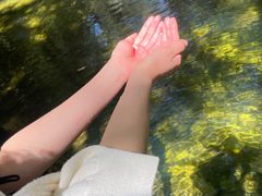 -牛背梁国家森林公园