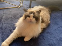 -零纪元VR体验馆·桌游(黄浦店)