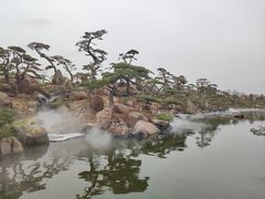 -罗红摄影艺术馆