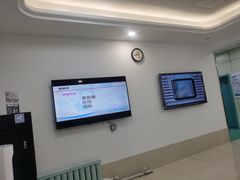 -北京观赏动物医院·24小时大型综合·猫专科·异宠专科