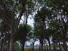 -广富林郊野公园