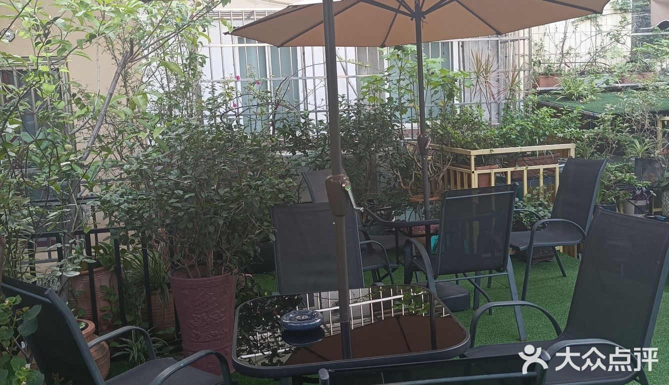 人在花间住人在草木中～咖啡馆里有个小小植物园