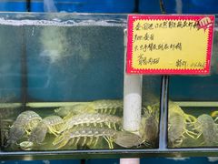 水产区-蚝专家(北滘店)