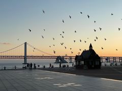-星海广场