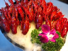 冰镇酒醉小龙虾-红盔甲·小龙虾(天钥桥店)