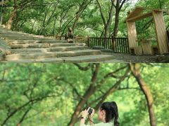 -铁山坪森林公园