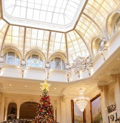 -大连城堡豪华精选酒店·宴会厅