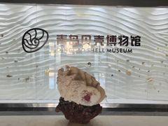-青岛贝壳博物馆