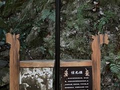 -十八棵（老龙井）御茶园(老龙井店)