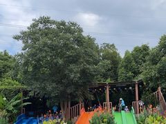 -苏州乐园森林水世界