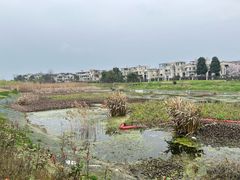 -两河城市森林公园