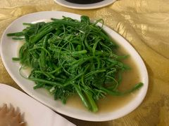 盐水浸佛手瓜苗-粤友餐厅