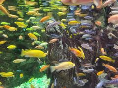 -太平洋海底世界