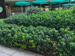 -星巴克臻选(上海长风大悦城店)