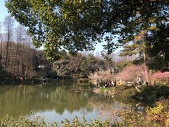 -杭州植物园