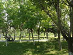 -洨河生态公园