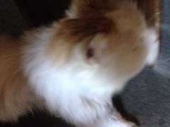 iphone_upload_pic-斯多格书乡(北京大学畅春园店)