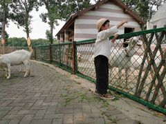 -太阳岛度假酒店