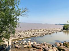 -上海吴淞炮台湾国家湿地公园