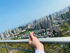 -板樟山森林公园