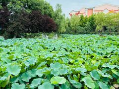 -郑州方特梦幻王国