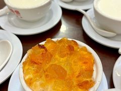 -南信牛奶甜品专家