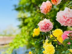 -云龙湖旅游景区