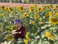 -映月湖中央公园