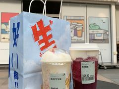 多肉葡萄-喜茶(东莞汇一城店)