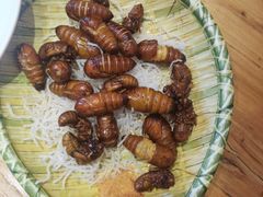 -鸽子窝(宋庄店)