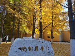 -辽宁大学(崇山校区)