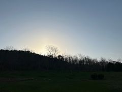 -棒棰岛宾馆景区