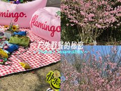 -南京市江宁方山